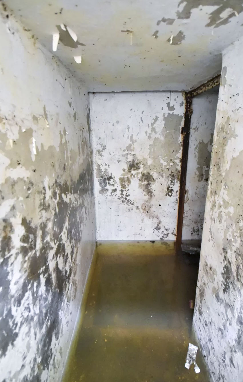 Ligne Maginot - C31 - (Chambre de coupure) -  - Ludovic KNAPP