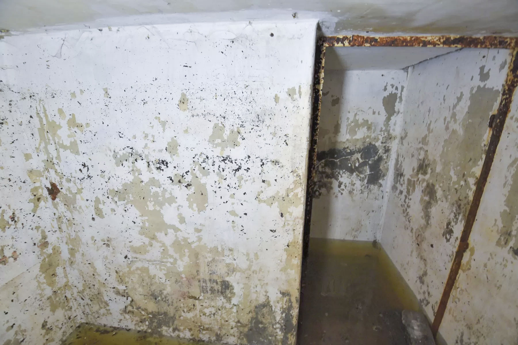 Ligne Maginot - C31 - (Chambre de coupure) -  - Ludovic KNAPP