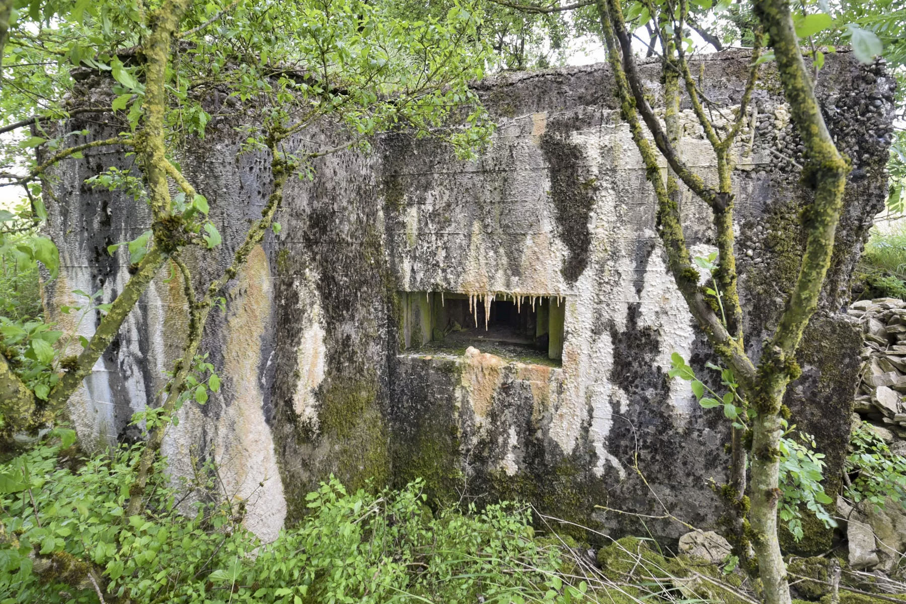 Ligne Maginot - AB7-E - BRANDSTUDEN  3 - (Blockhaus pour canon) -  - Ludovic KNAPP
