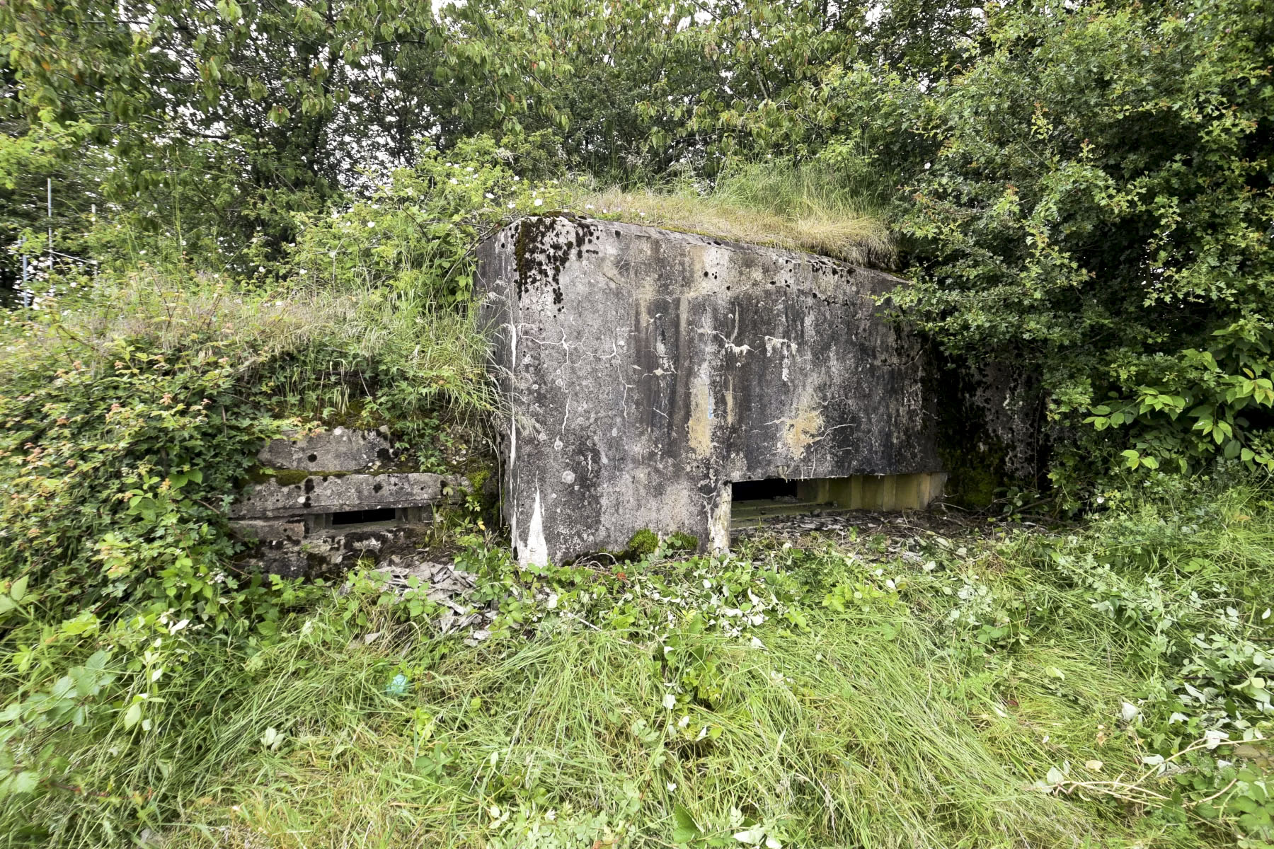 Ligne Maginot - AB310 - LANGEN OUEST - (Blockhaus pour canon) -  - Ludovic KNAPP