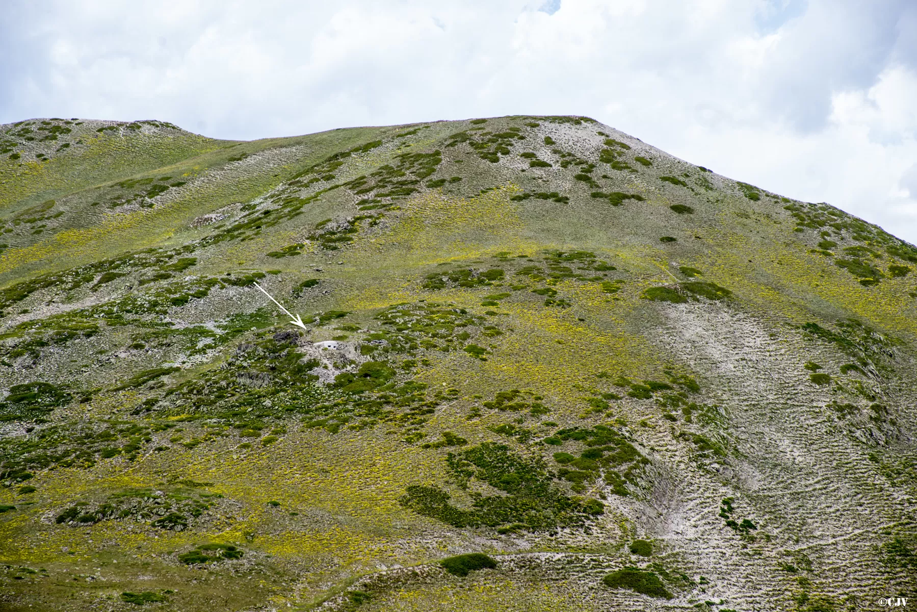 Ligne Maginot - COL DE BARTEAUX 1 - (Blockhaus pour arme infanterie) -  - Lia VERMEULEN