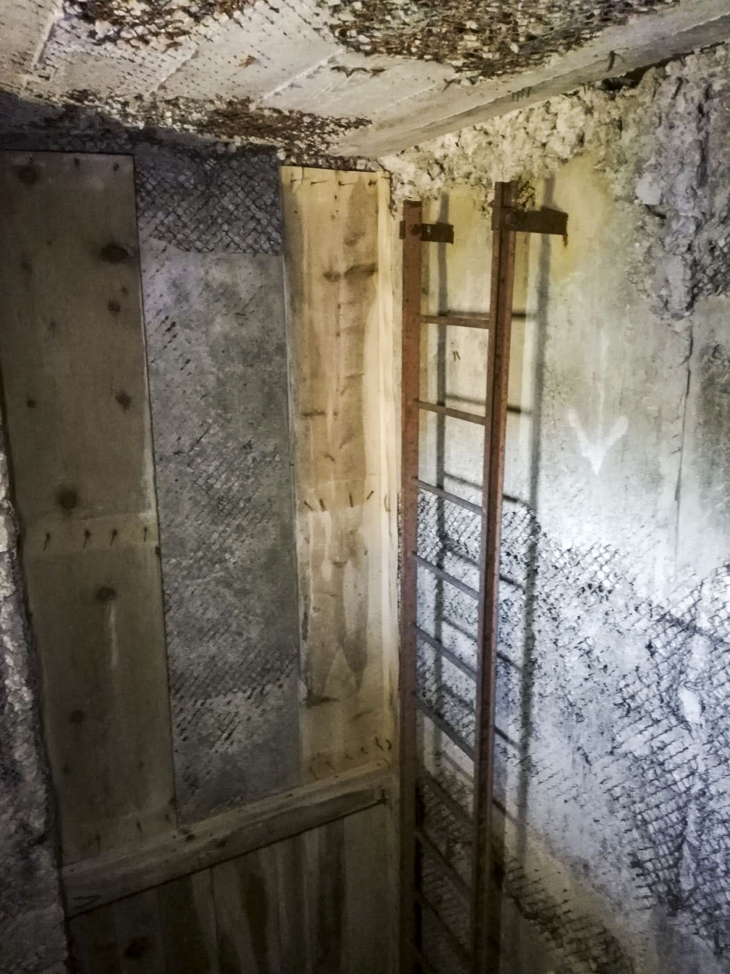 Ligne Maginot - COL DE GRANON - (Ouvrage d'infanterie) - Bloc 3 
Accès au bloc - Nicolas PASTORINO