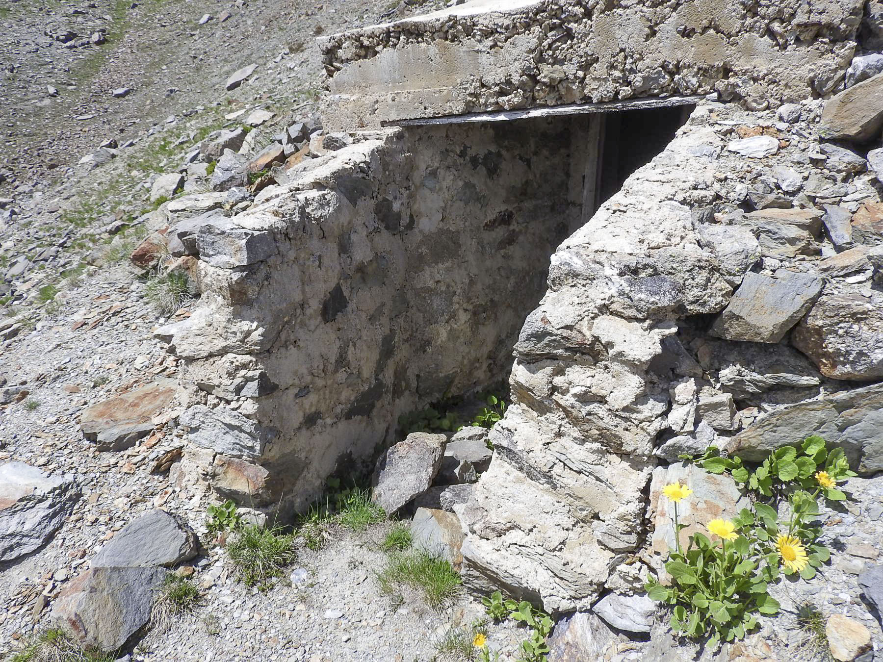 Ligne Maginot - CRETE CIBIERES-GRANON B - (Blockhaus pour arme infanterie) - L'entrée du blockhaus - STENGER Mathieu