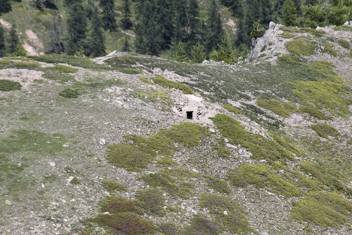 Ligne Maginot - CRETE DU GRAND MEYRET 3 - (Blockhaus pour arme infanterie) -  - Alain Perouffe