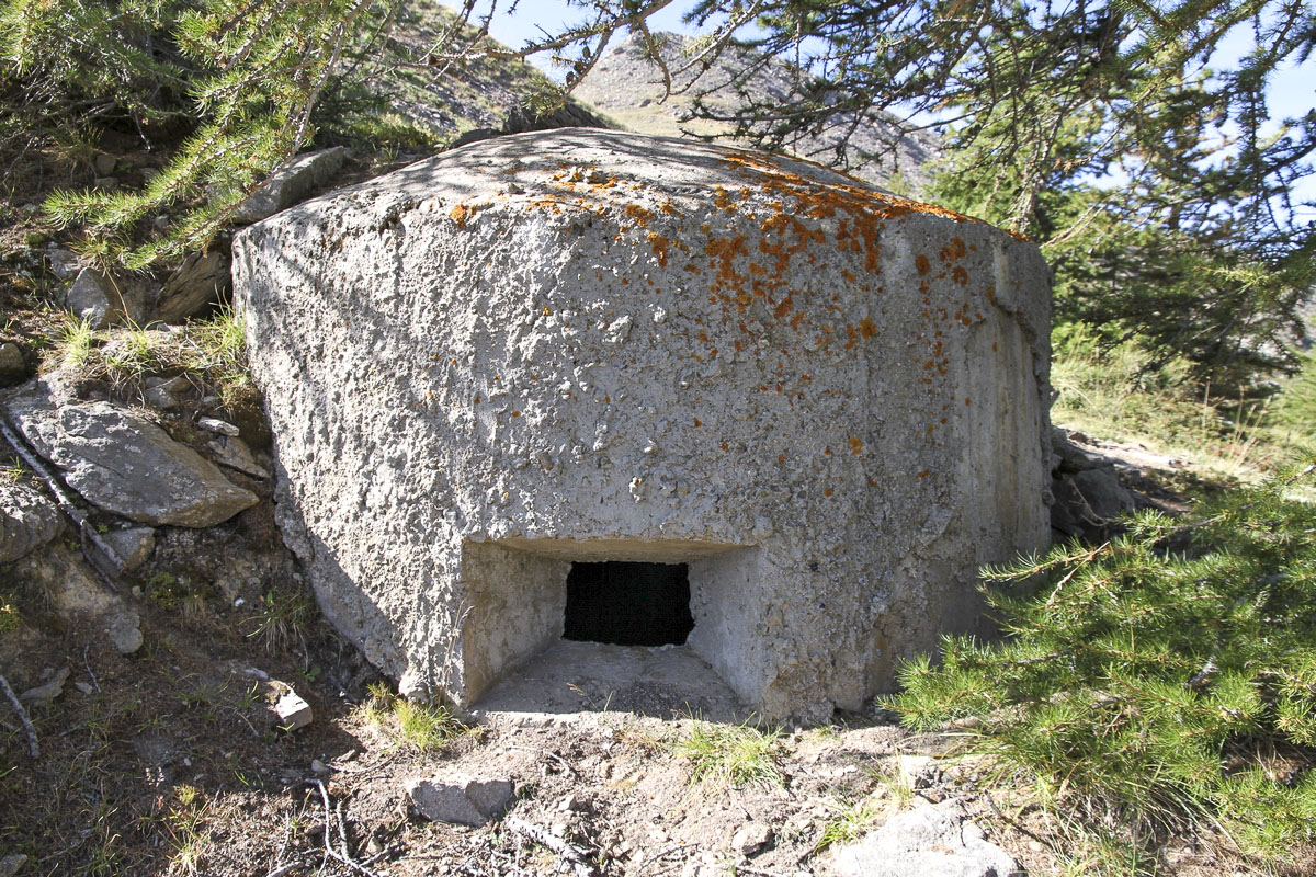 Ligne Maginot - CRETE DU GRAND MEYRET 1 - (Blockhaus pour arme infanterie) -  - Alain Perouffe