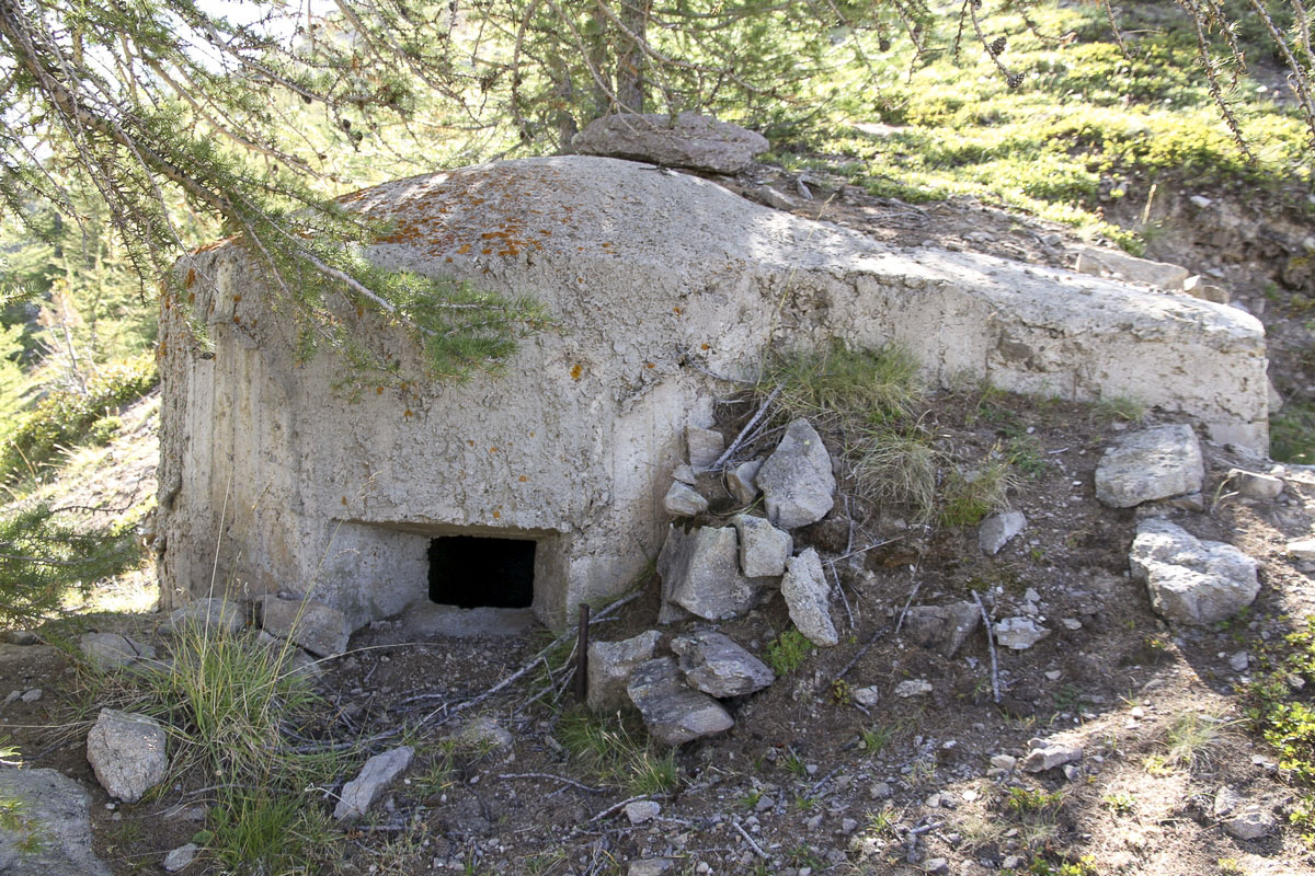 Ligne Maginot - CRETE DU GRAND MEYRET 1 - (Blockhaus pour arme infanterie) -  - Alain Perouffe