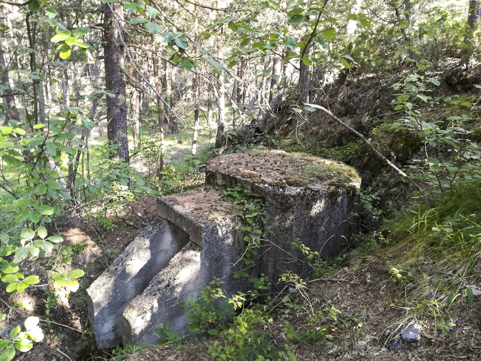 Ligne Maginot - LA TOUR DU NORD 1 - (Blockhaus pour arme infanterie) -  - Didier Caramello