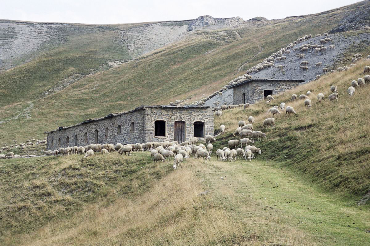 Ligne Maginot - LENLON (L'ENLON) - (Blockhaus pour arme infanterie) - Casernement de l'Enlon - Michal Prasil