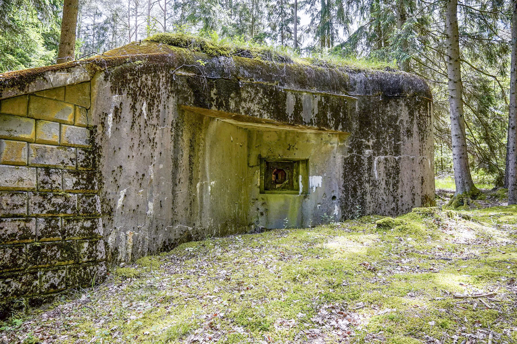 Ligne Maginot - BIESENBERG 1 - (Blockhaus pour arme infanterie) - Vue extérieure - David Palmer