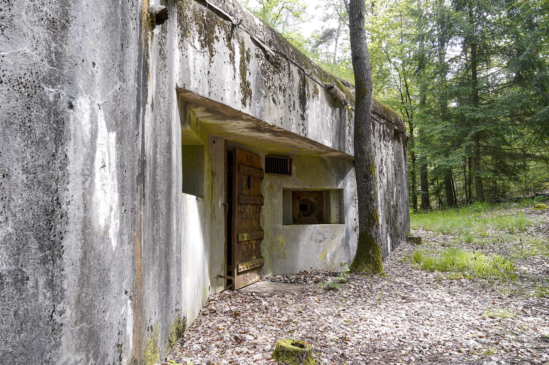 Ligne Maginot - BIESENBERG 3 - (Blockhaus pour arme infanterie) - Entrée
 - David Palmer