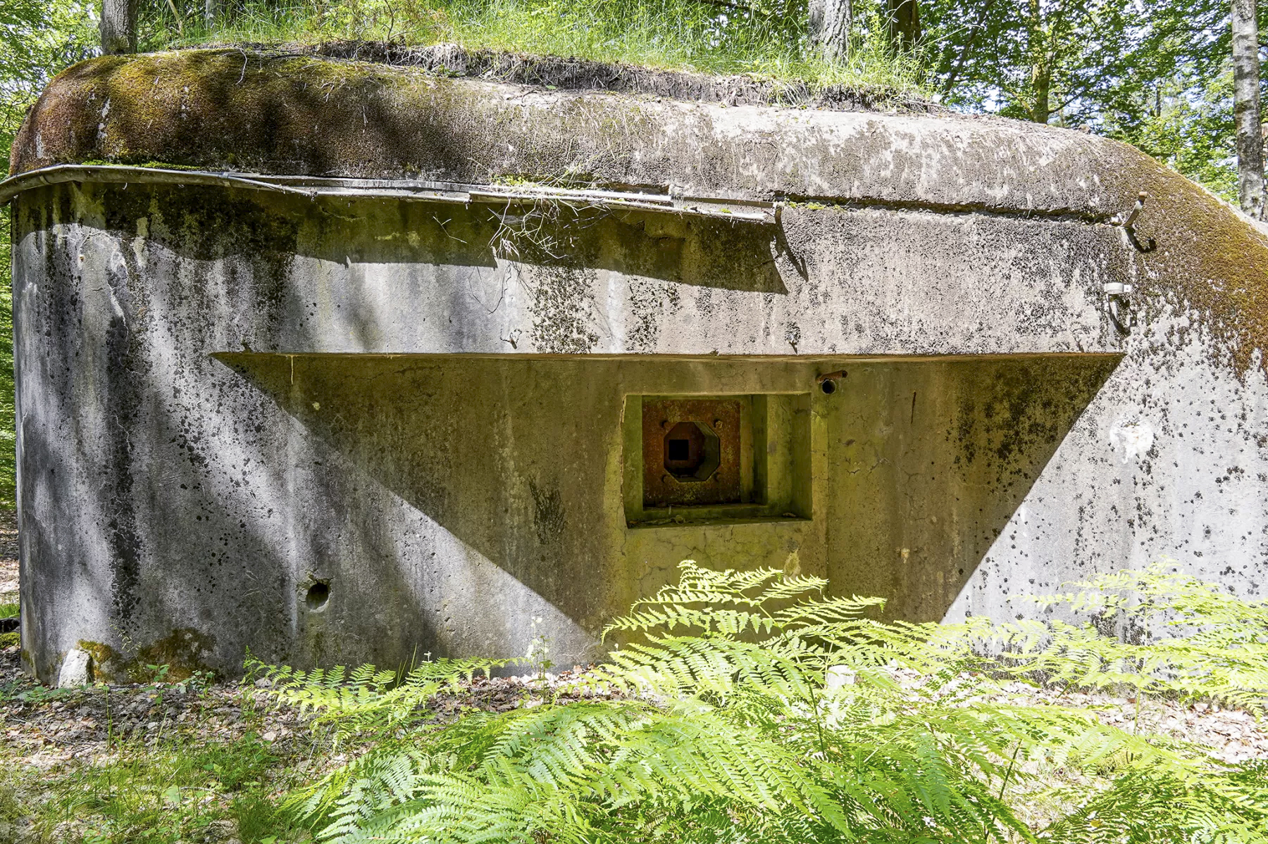 Ligne Maginot - BIESENBERG 3 - (Blockhaus pour arme infanterie) - Créneau FM 24/29 - David Palmer