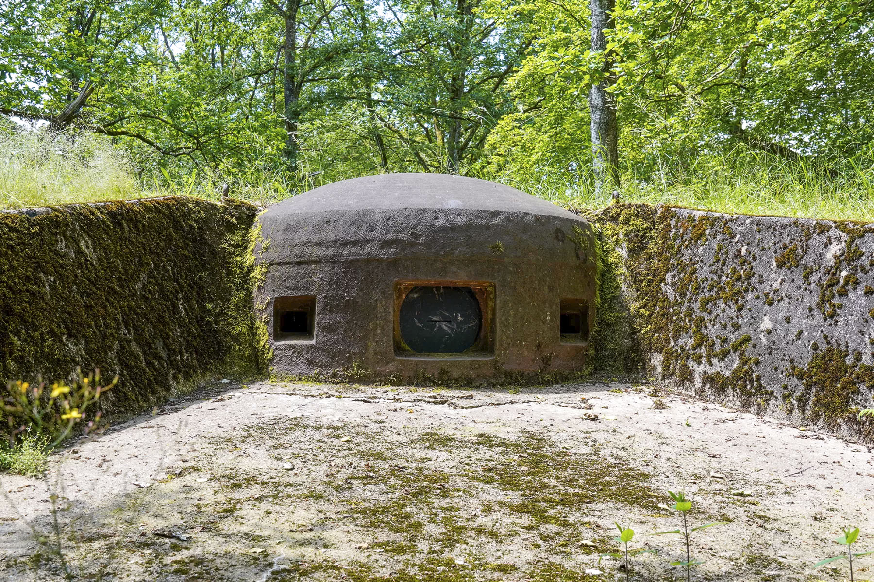 Ligne Maginot - BIESENBERG SOMMITALE - (Casemate d'infanterie - Simple) - Cloche JM - David Palmer