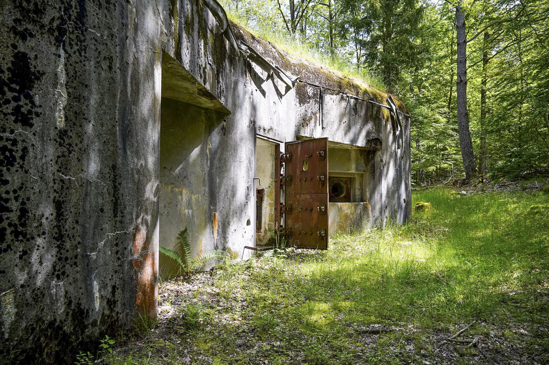 Ligne Maginot - BIESENBERG 2 - (Blockhaus pour arme infanterie) - Entrée - David Palmer