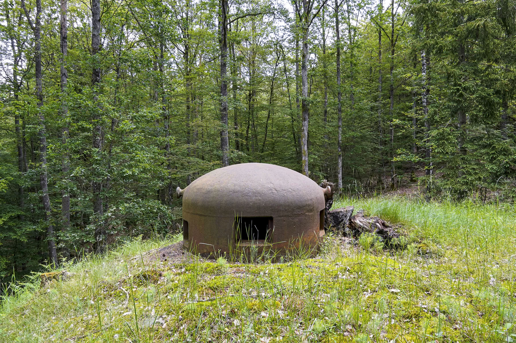 Ligne Maginot - BIESENBERG 2 - (Blockhaus pour arme infanterie) - Cloche GFM - David Palmer