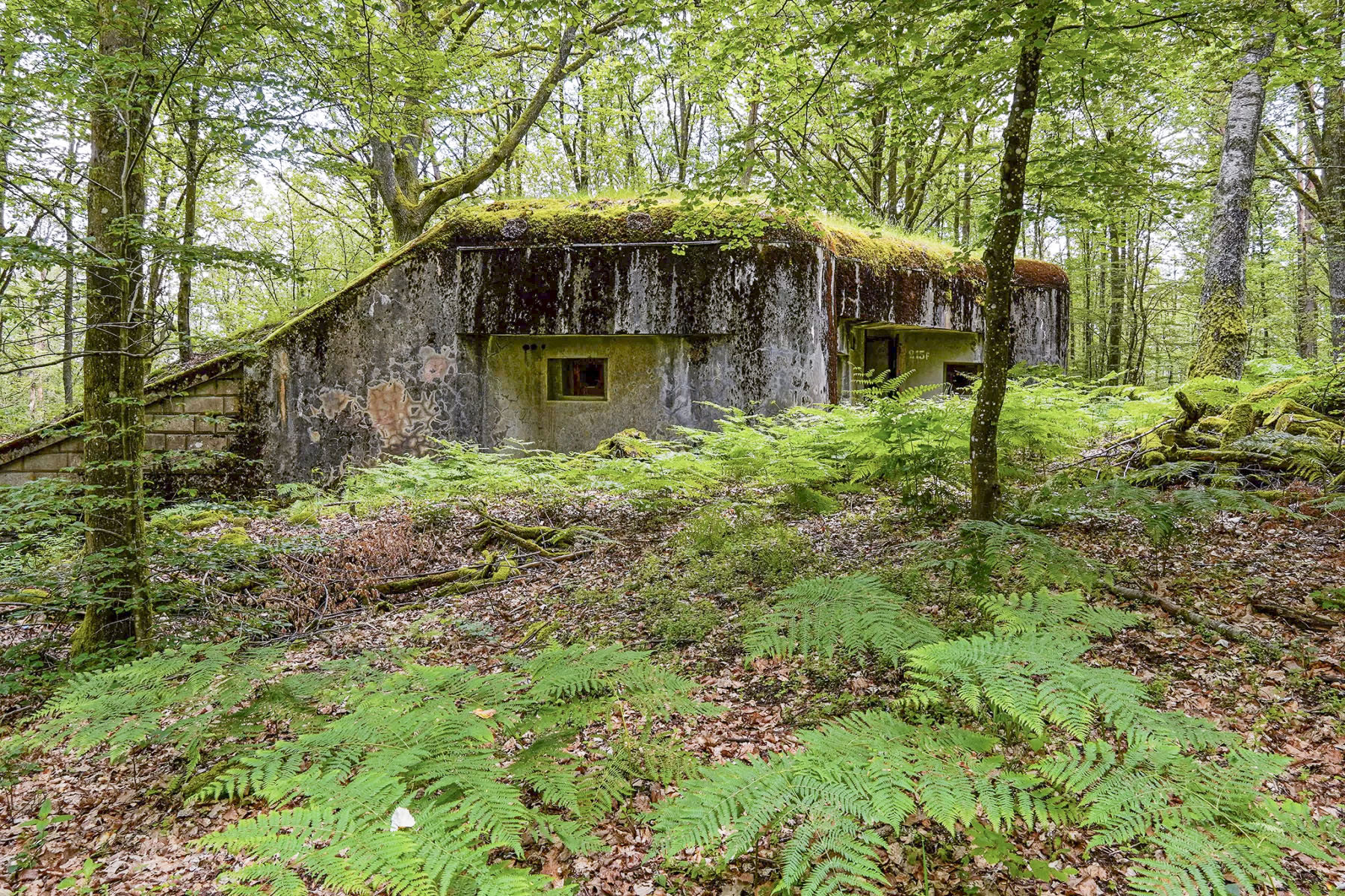 Ligne Maginot - BIESENBERG 4 - (Blockhaus pour arme infanterie) - Vue extérieure - David Palmer