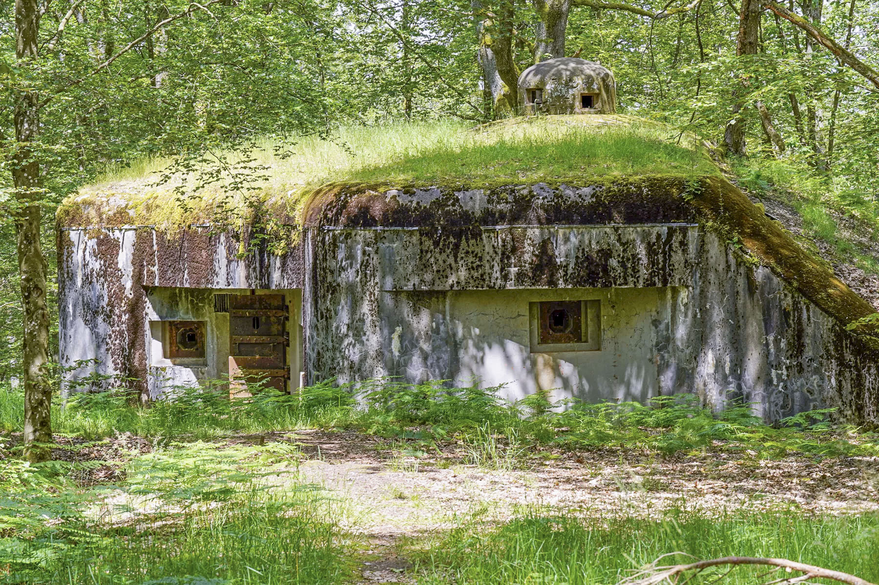 Ligne Maginot - BIESENBERG 4 - (Blockhaus pour arme infanterie) - Vue extérieure - David Palmer