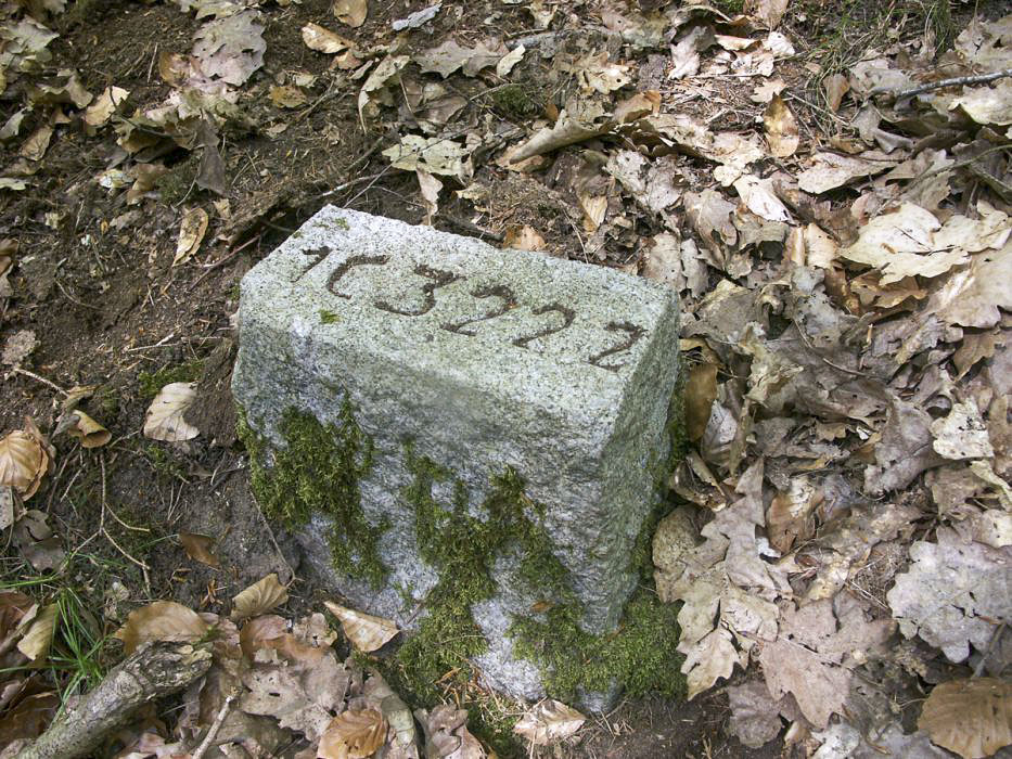 Ligne Maginot - C322 - (Chambre de coupure) - Borne de repérage du tracé des cables. Noter l'inscription 1 C 322 2 - Pascal LAMBERT