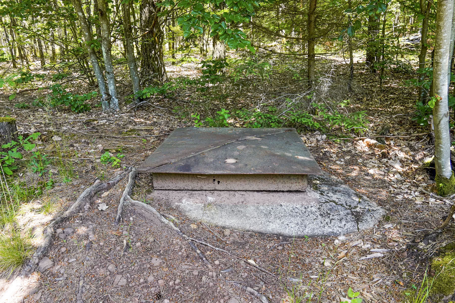 Ligne Maginot - C322 - (Chambre de coupure) -  - David Palmer