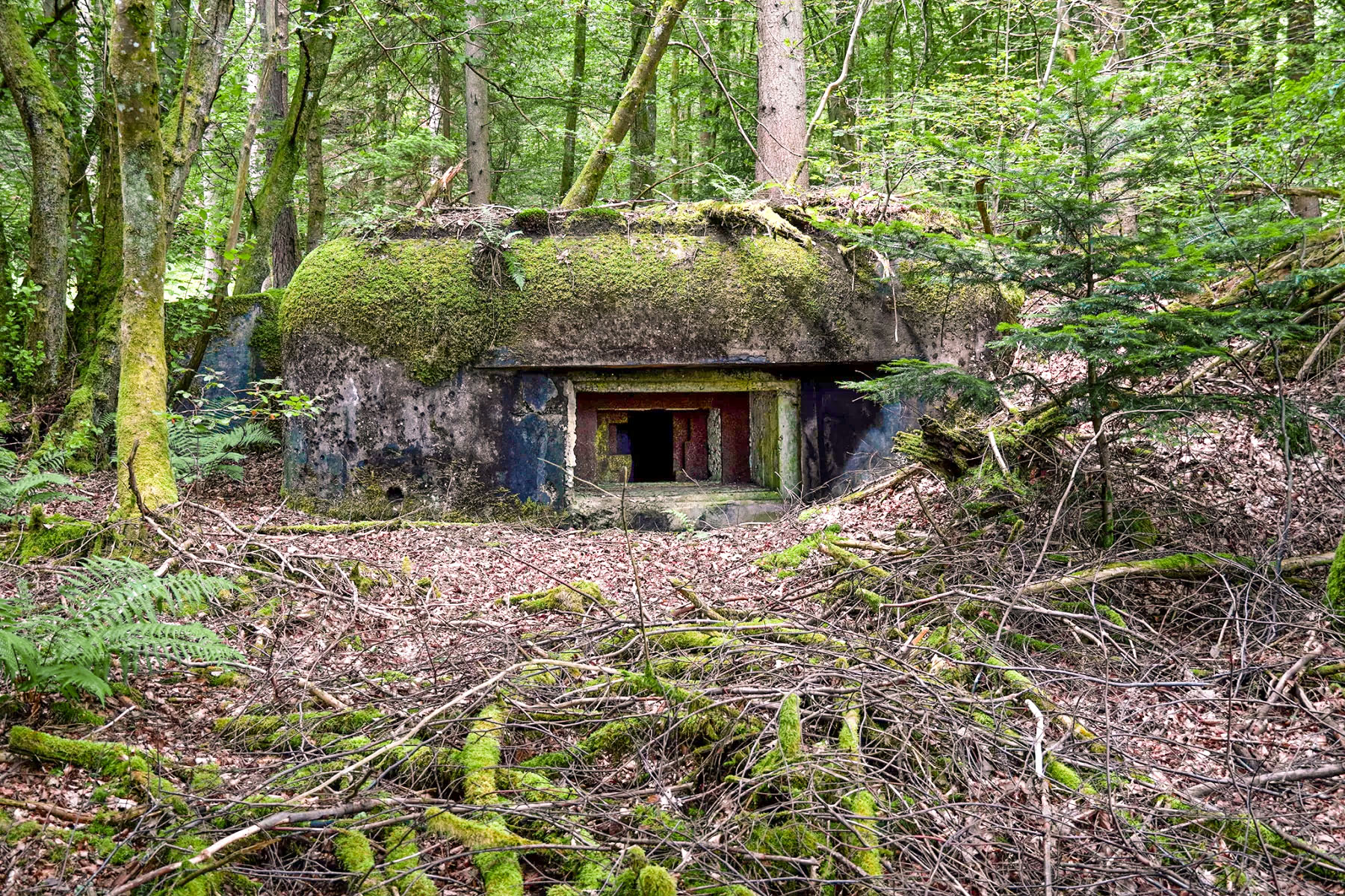 Ligne Maginot - NEUWEIHER 1 - (Blockhaus pour canon) -  - David Palmer