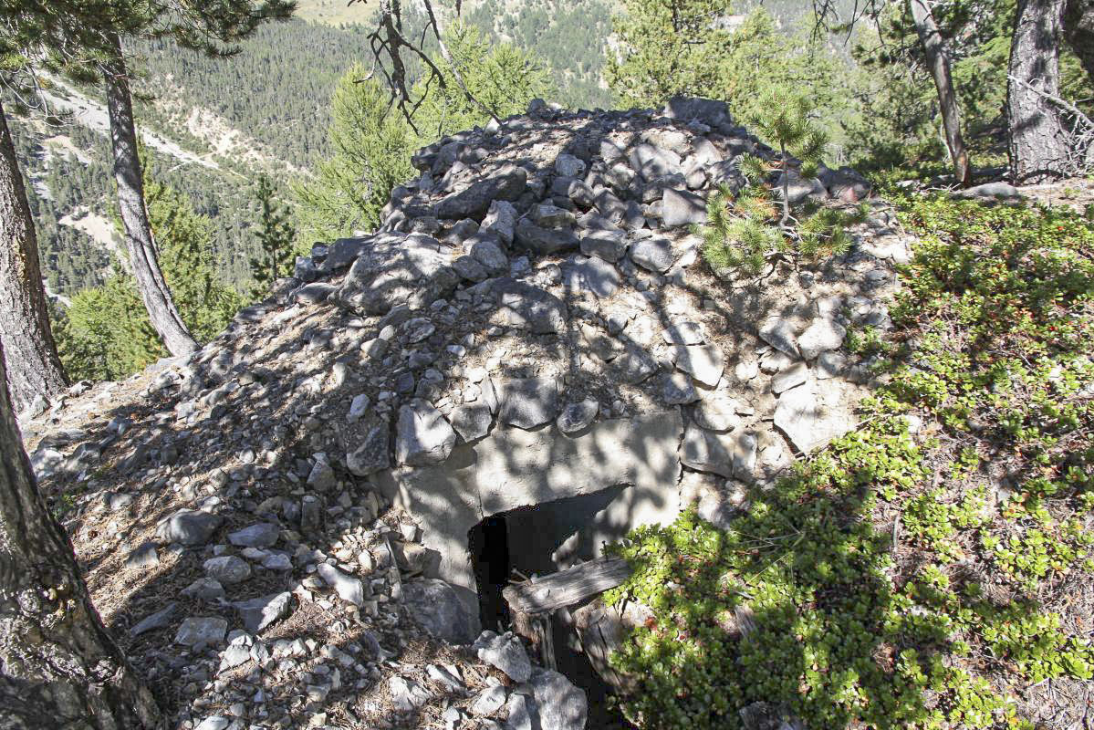 Ligne Maginot - MORAINE DE PECE 1 - (Blockhaus pour arme infanterie) -  - Alain Perouffe