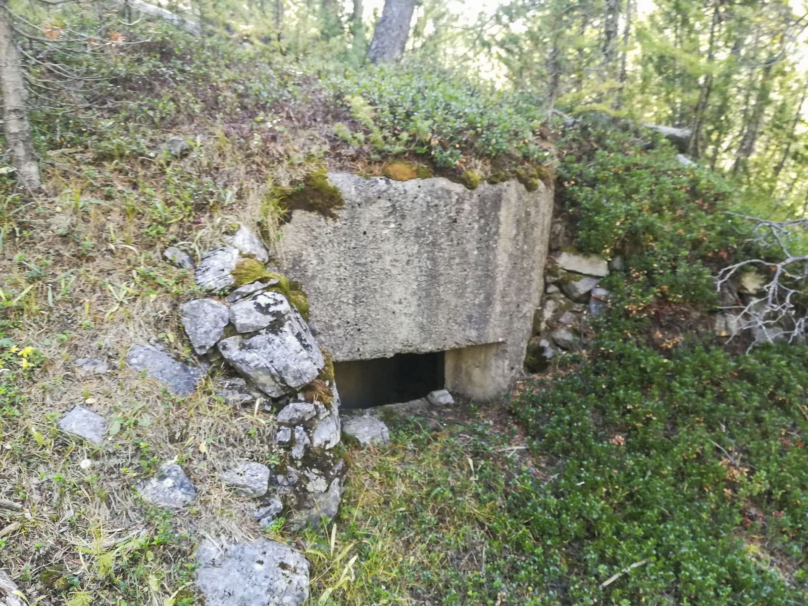 Ligne Maginot - TORRENT DES ACLES 2 - (Blockhaus pour arme infanterie) -  - Didier Caramello