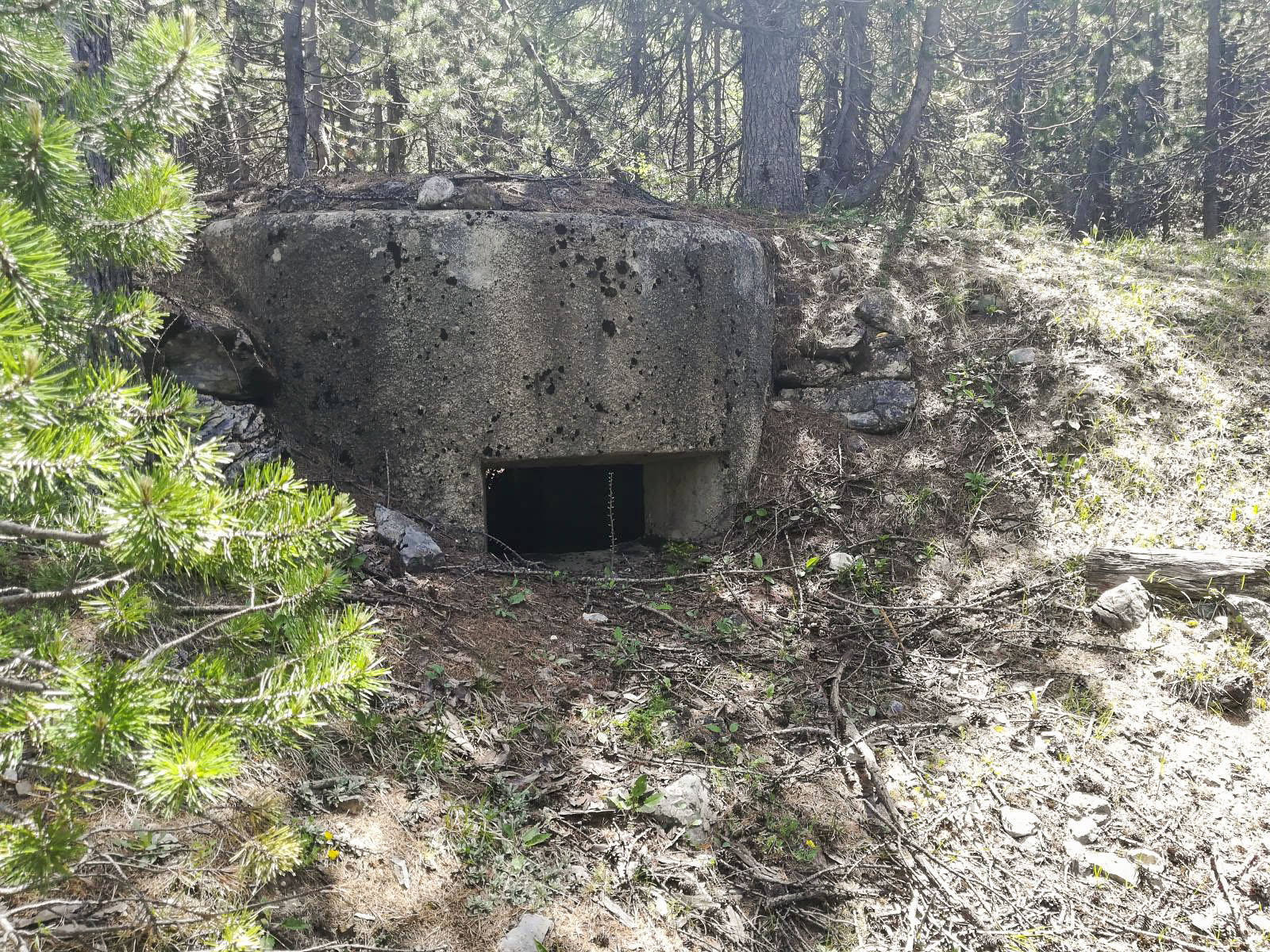 Ligne Maginot - TORRENT DES ACLES 1 - (Blockhaus pour arme infanterie) -  - Didier Caramello