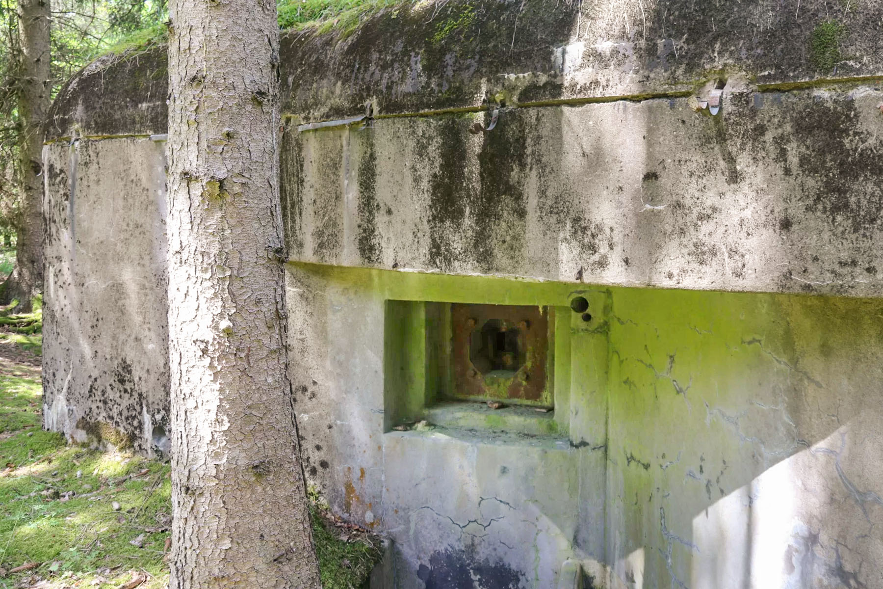 Ligne Maginot - BIESENBERG 1 - (Blockhaus pour arme infanterie) - Face est
 - Alain Perouffe
