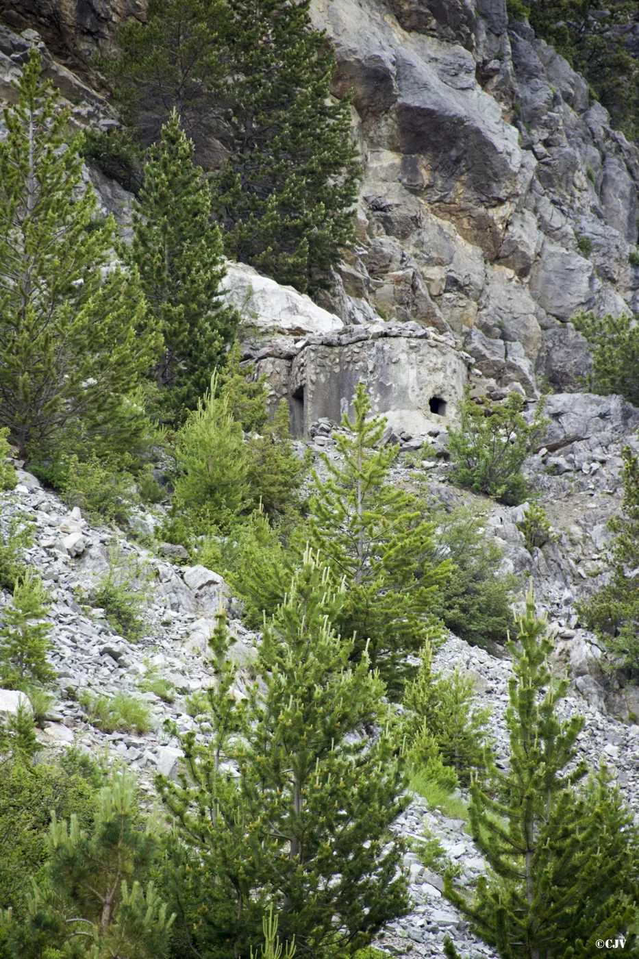 Ligne Maginot - BEAUREGARD EST - (Blockhaus pour arme infanterie) -  - Lia VERMEULEN