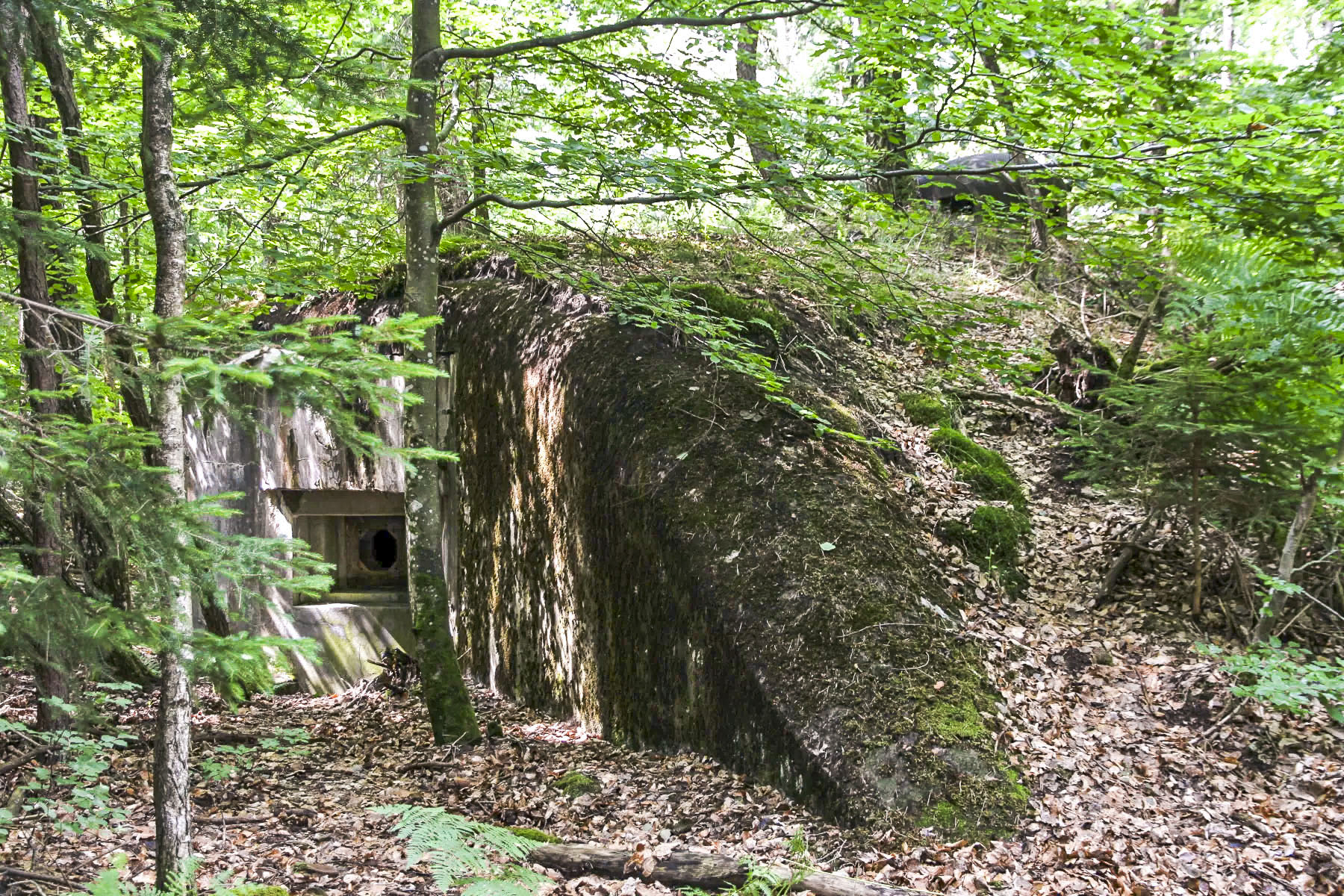 Ligne Maginot - BIESENBERG 2 - (Blockhaus pour arme infanterie) -  - Jean-Michel Jolas