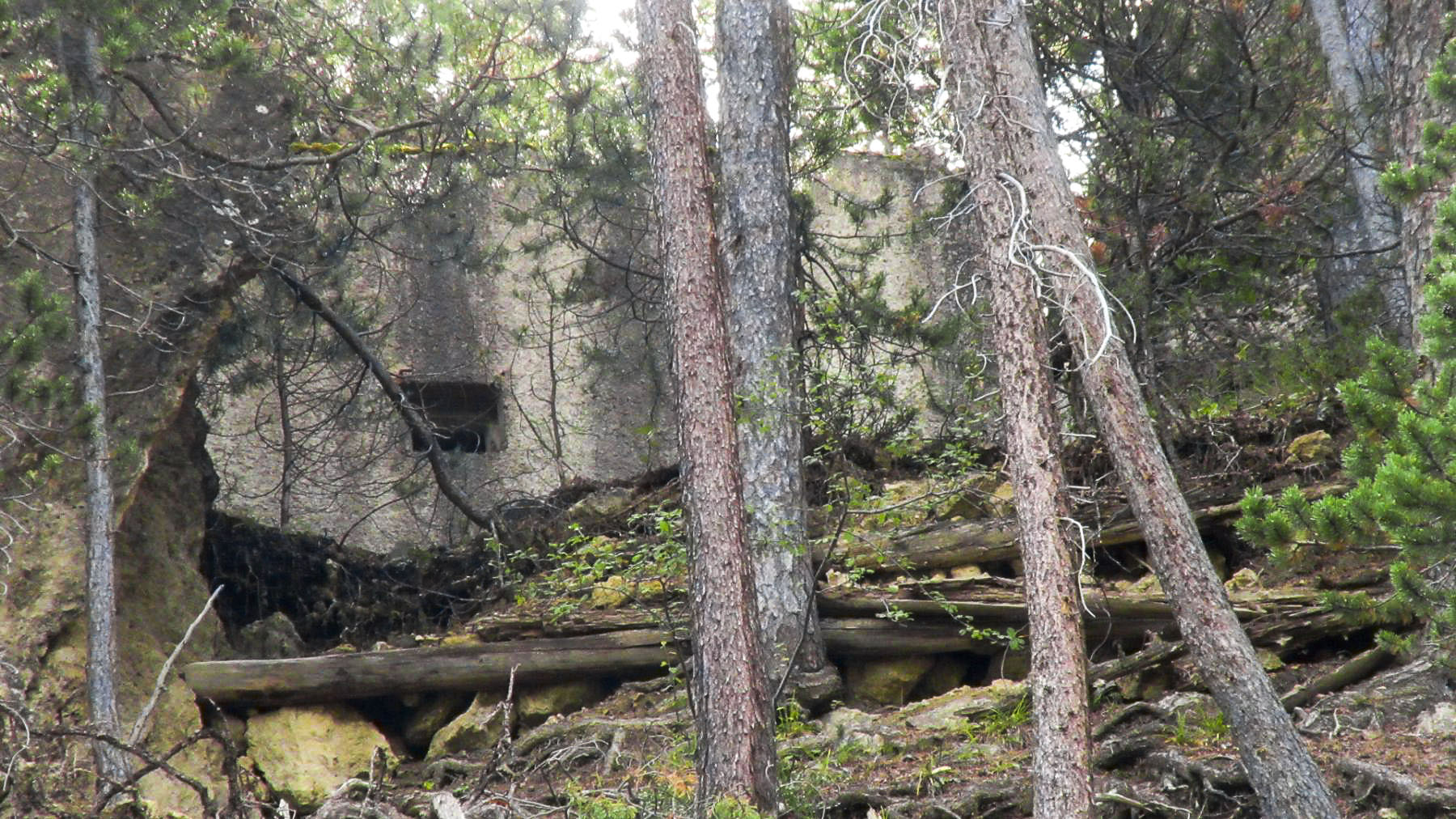Ligne Maginot - CLOT DU POIN 1 - (Blockhaus pour arme infanterie) - Le bloc vu à travers les arbres depuis le chemin du Vallon - Jean Berthier