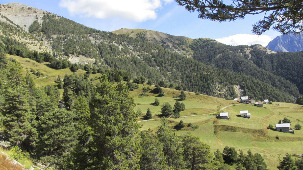 Ligne Maginot - POET MORAND (154° RAP - 6° BIE) - (Position d'artillerie préparée) - Vue générale du site avec les deux emplacements de mortiers sur la gauche et les chalets qui ont servi pour l'hébergement des artilleurs - Berthier Jean