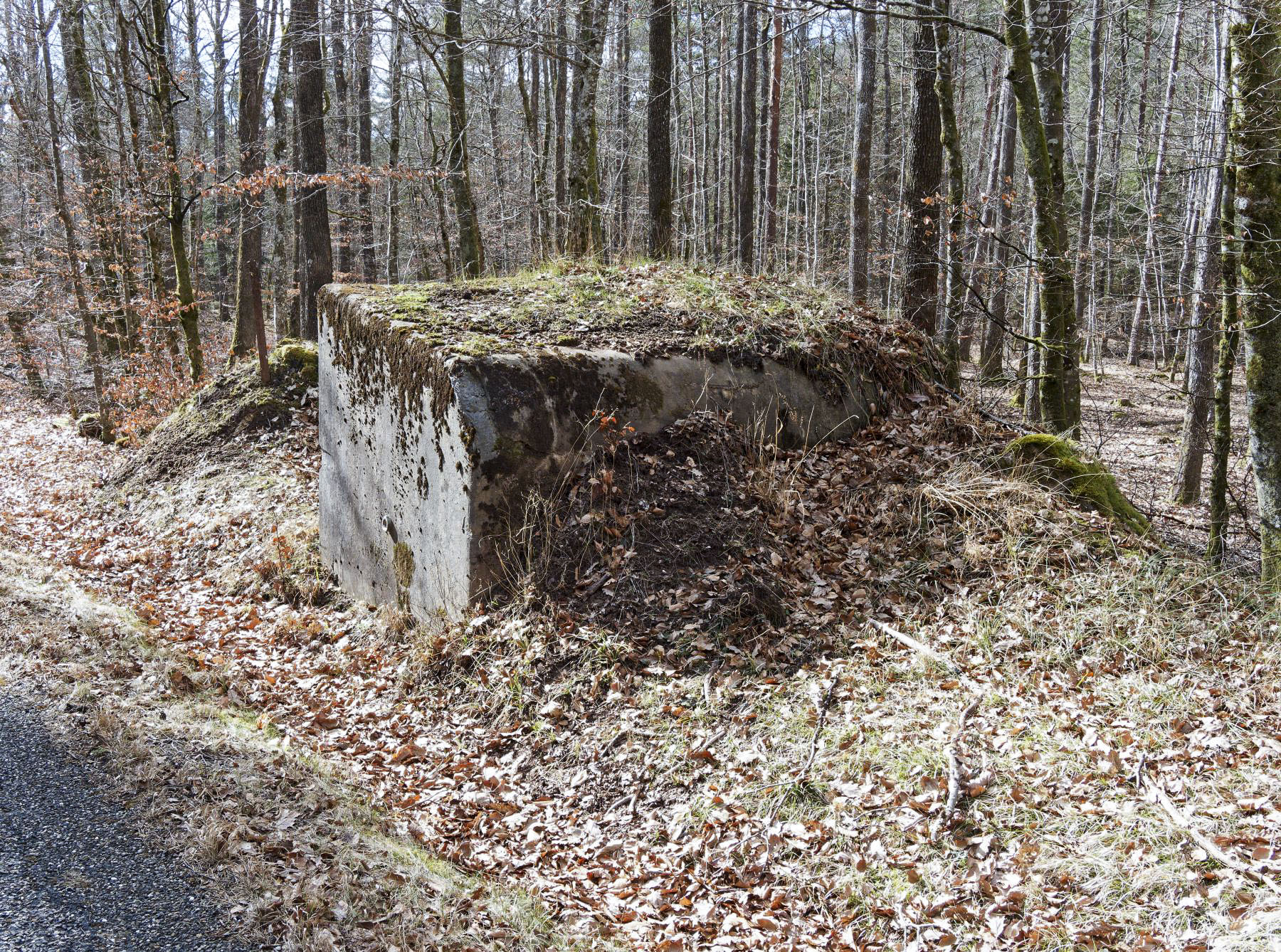 Ligne Maginot - WEIHERSTHAL NORD - (Blockhaus pour canon) - Vue  avant du bouclier, le créneau est recouvert de terre - Jürgen Morr