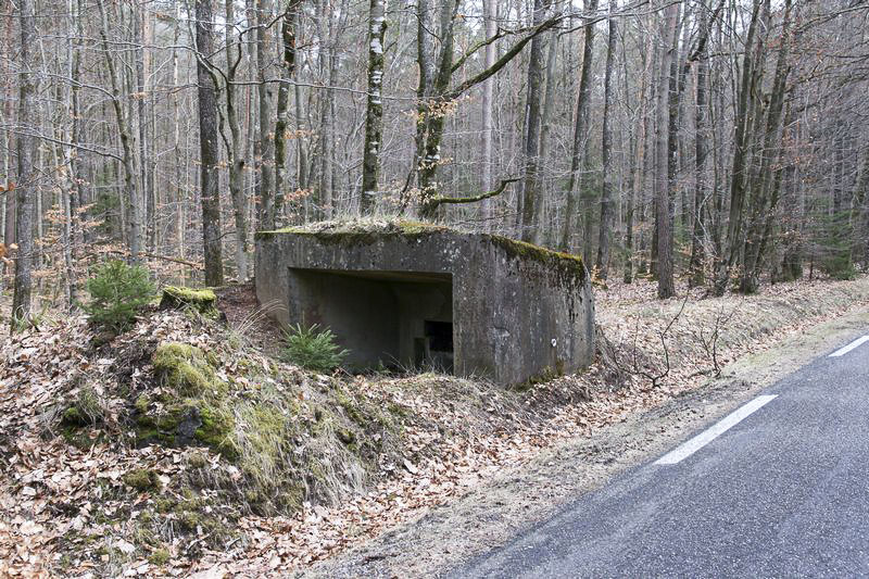 Ligne Maginot - WEIHERSTHAL Nord (Blockhaus pour canon) -  - GRUBER Franck