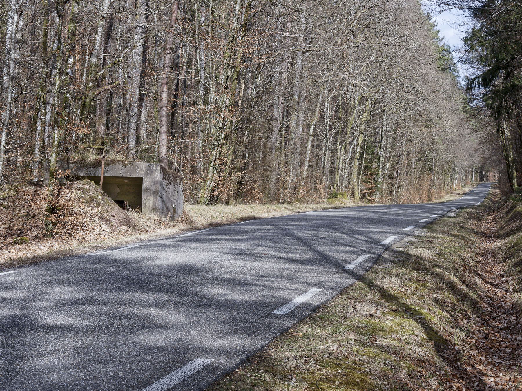 Ligne Maginot - WEIHERSTHAL NORD - (Blockhaus pour canon) - Vue arrière du bouclier, vue depuis la direction de Neunhoffen - Jürgen Morr