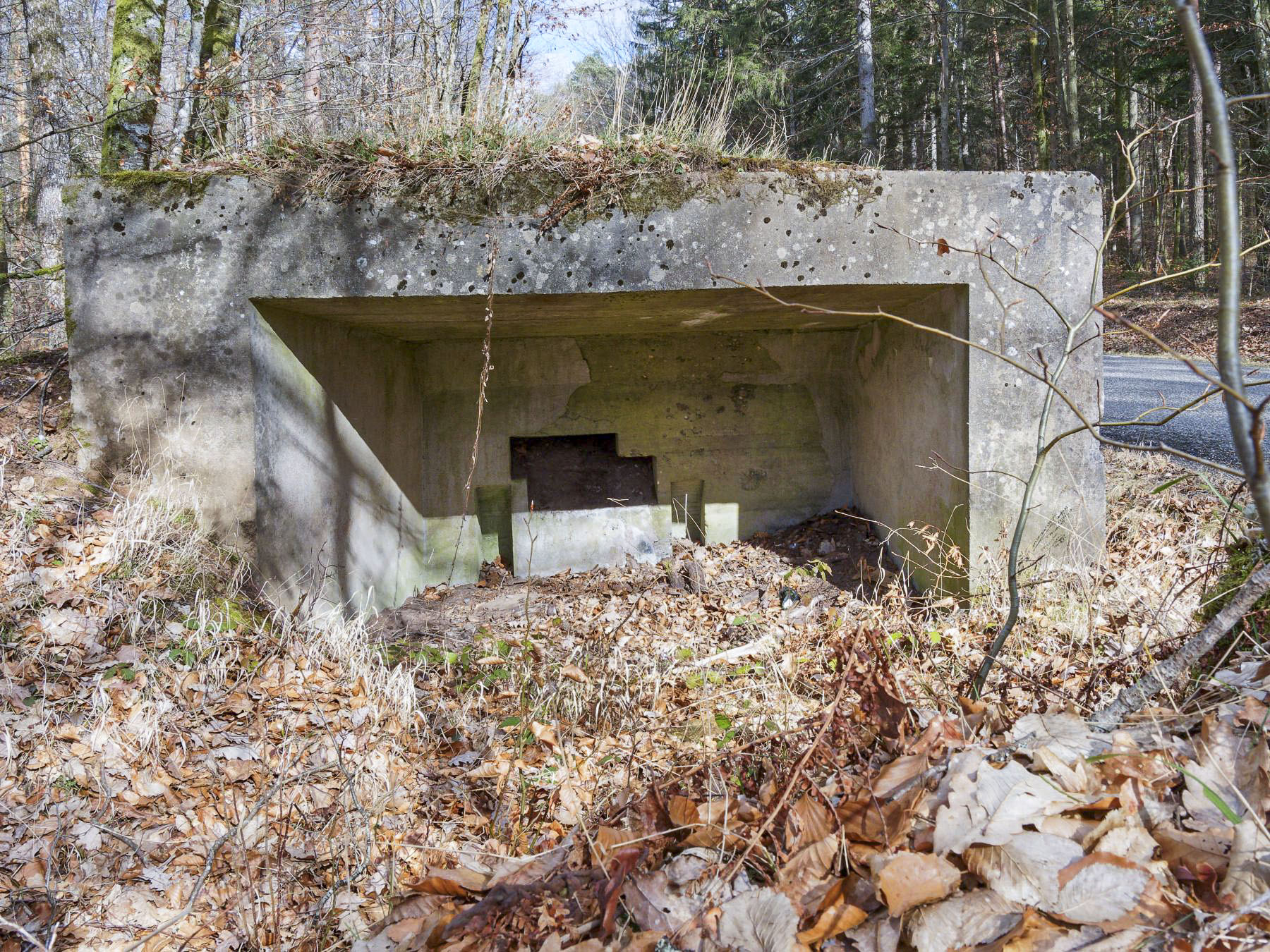 Ligne Maginot - WEIHERSTHAL NORD - (Blockhaus pour canon) - Vue arrière avec les réservations pour les roues du canon et le créneau - Jürgen Morr