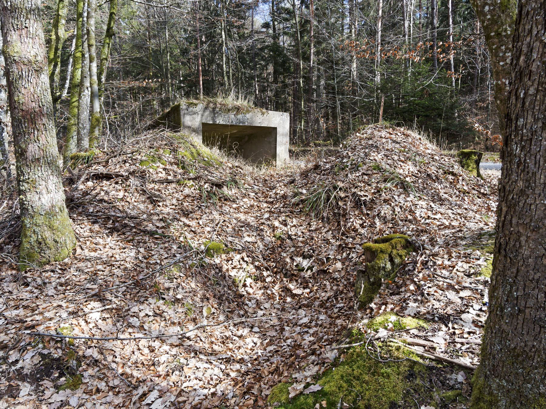Ligne Maginot - WEIHERSTHAL NORD - (Blockhaus pour canon) - Système de tranchée desservant le bouclier - Jürgen Morr