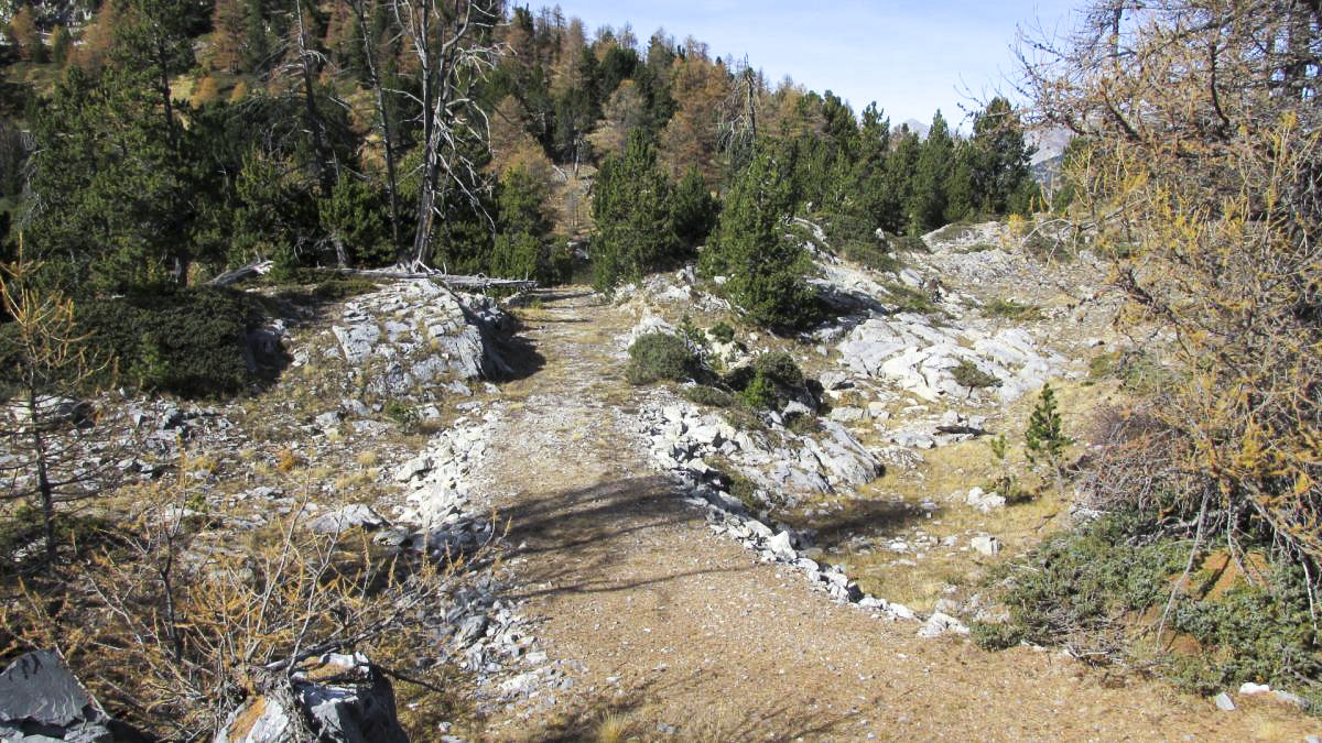 Ligne Maginot - LA LAUZETTE CENTRE (3° BIE / 154° RAP) - (Position d'artillerie préparée) - Cheminement permettant l'accès aux pas de tir - Jean Berthier