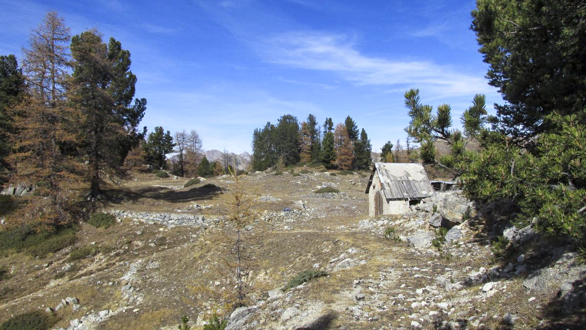 Ligne Maginot - LA LAUZETTE CENTRE (3° BIE / 154° RAP) - (Position d'artillerie préparée) - Plateau central avec des vestiges de bâtiments - Jean Berthier