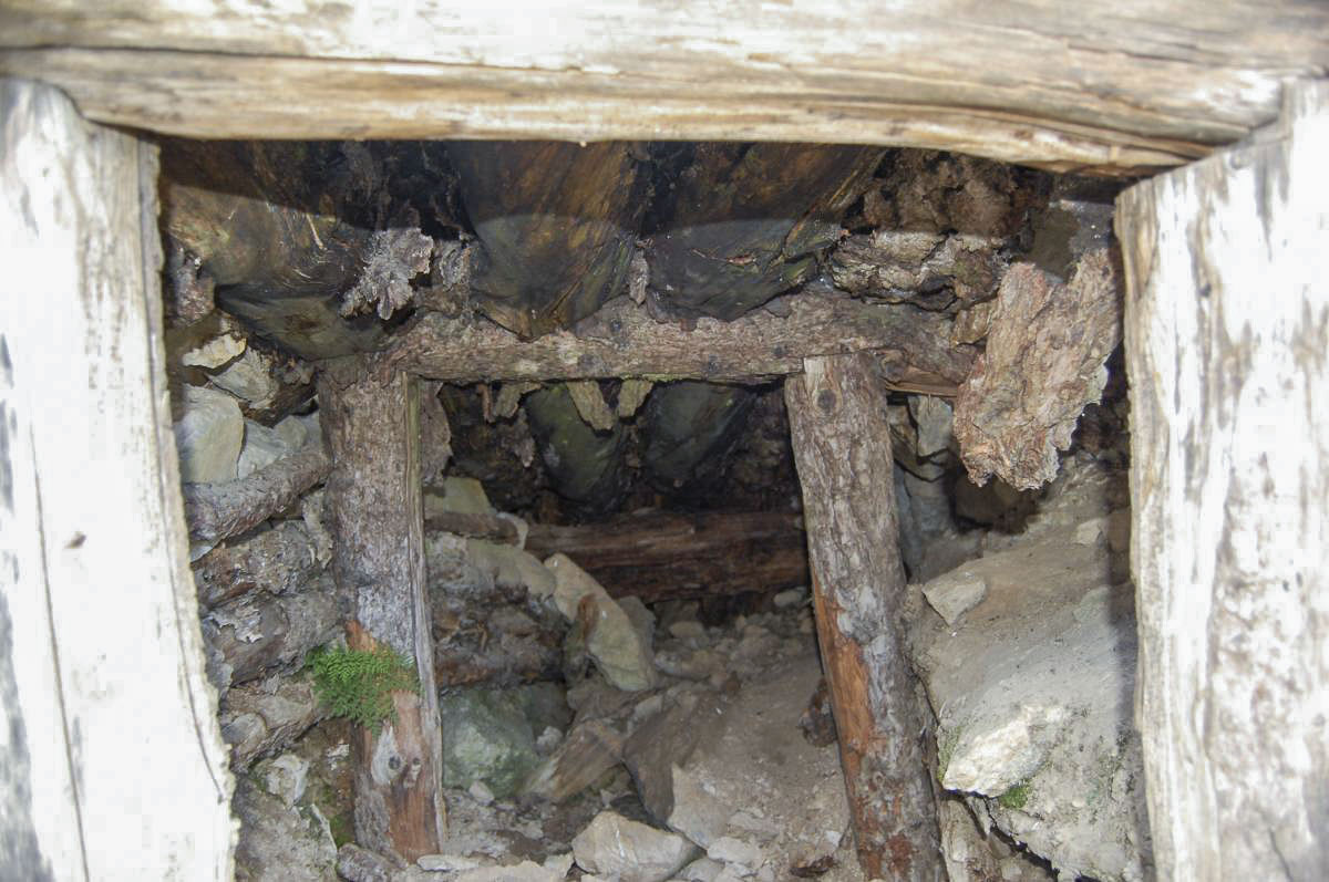 Ligne Maginot - LA LAUZETTE CRêTE (3° BIE / 154° RAP) - (Position d'artillerie préparée) - Restes de l'abri - Michal Prasil