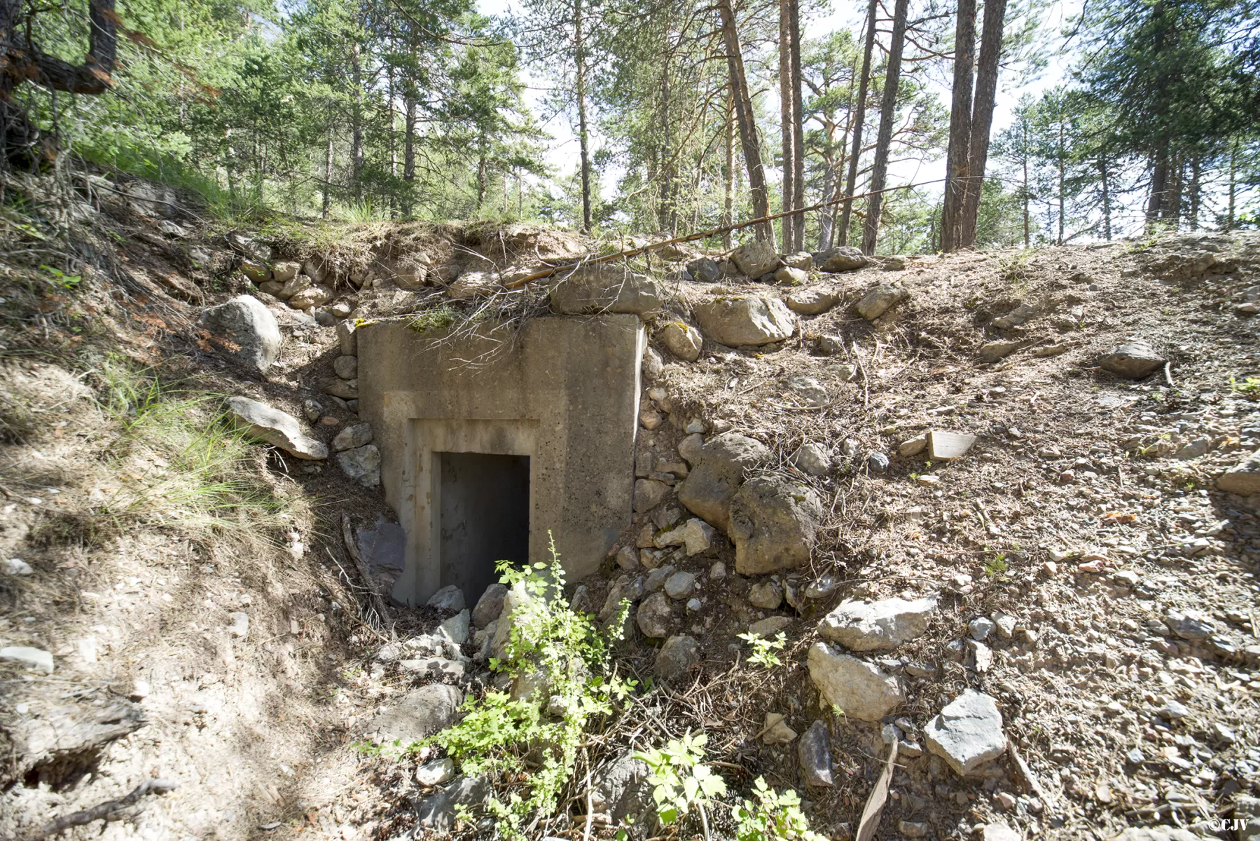 Ligne Maginot - LA PIGNEE - (Abri) - Entrée droite - Lia VERMEULEN
