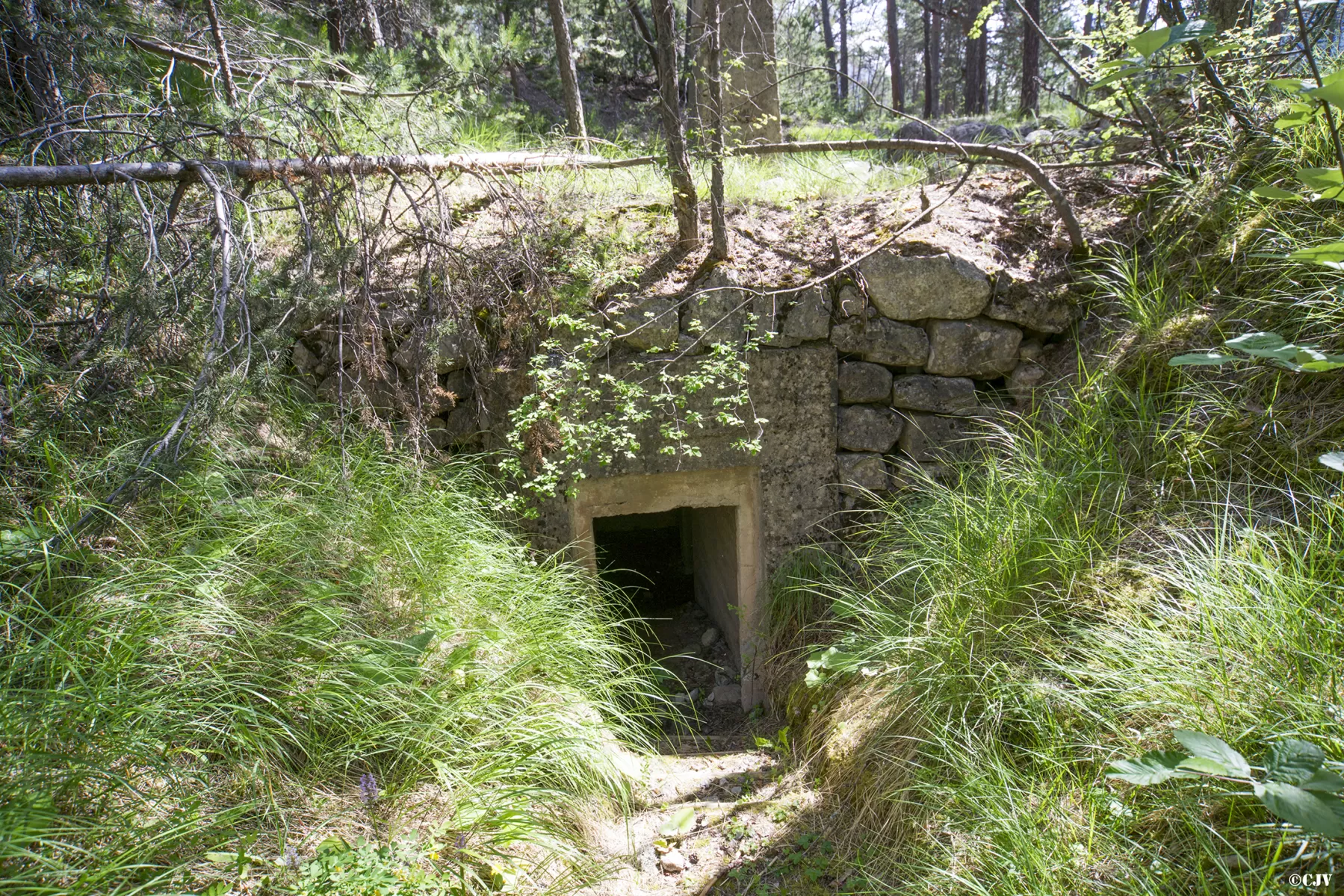 Ligne Maginot - LA PIGNEE - (Abri) - Entrée gauche - Lia VERMEULEN