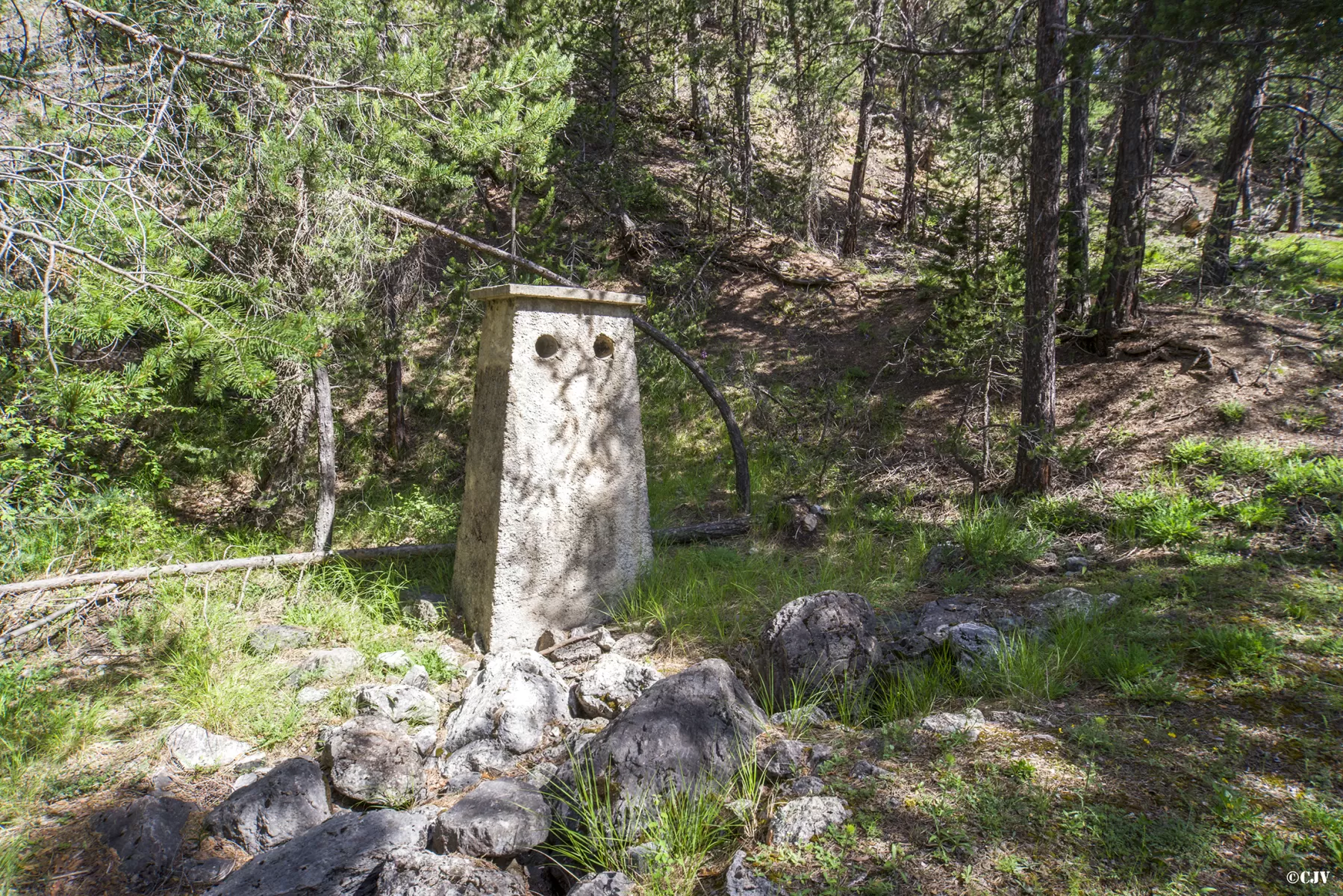 Ligne Maginot - LA PIGNEE - (Abri) - La cheminée  - Lia VERMEULEN