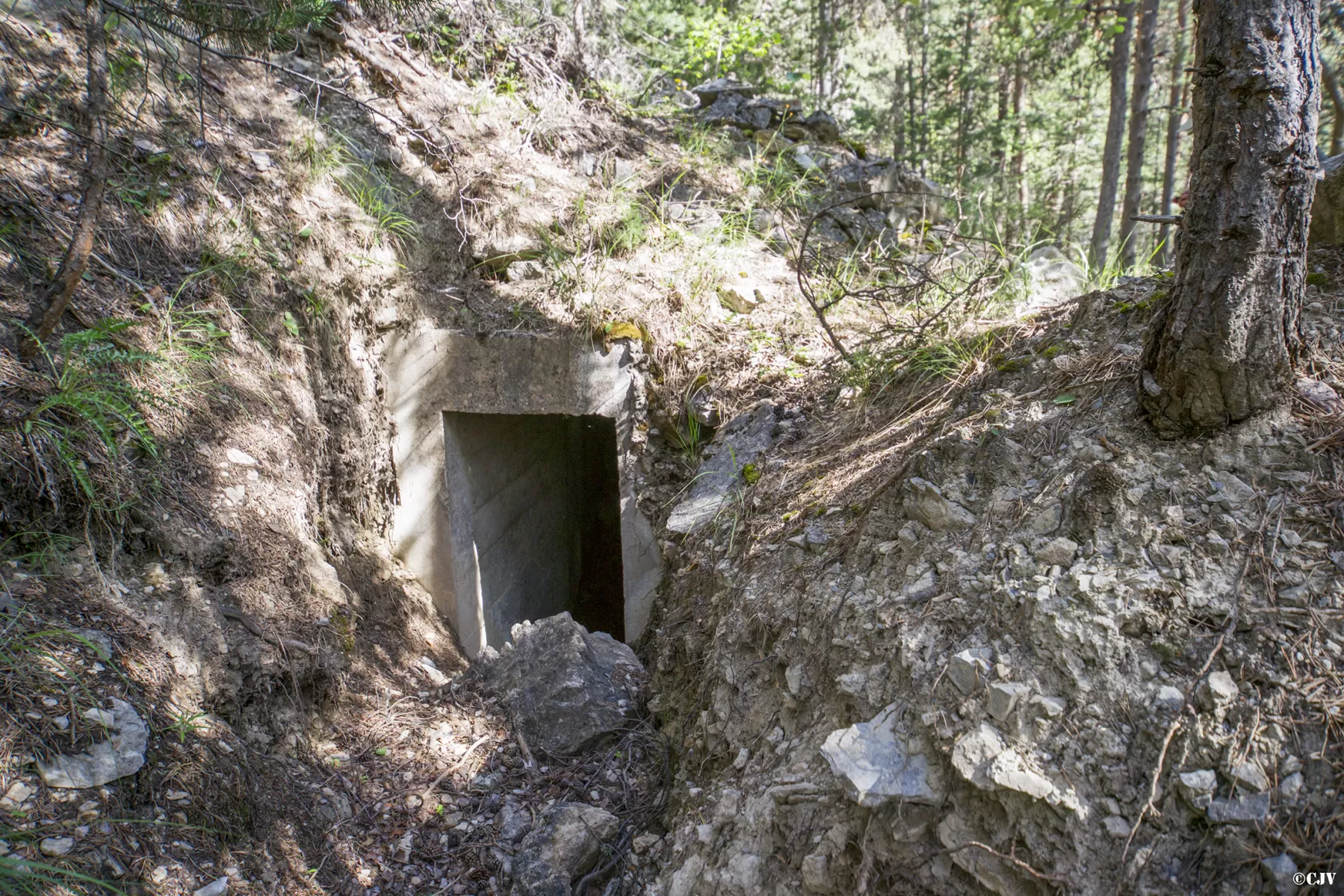 Ligne Maginot - LA PIGNEE 2 - (Blockhaus pour arme infanterie) -  - Lia VERMEULEN