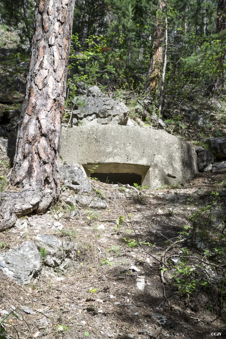 Ligne Maginot - LA PIGNEE 1 - (Blockhaus pour arme infanterie) -  - Lia VERMEULEN