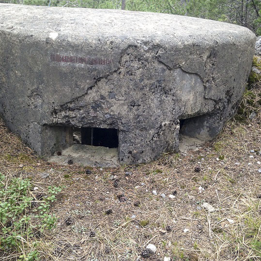 Ligne Maginot - LA PINATELLE 1 - (Blockhaus pour arme infanterie) -  - Forstenried
