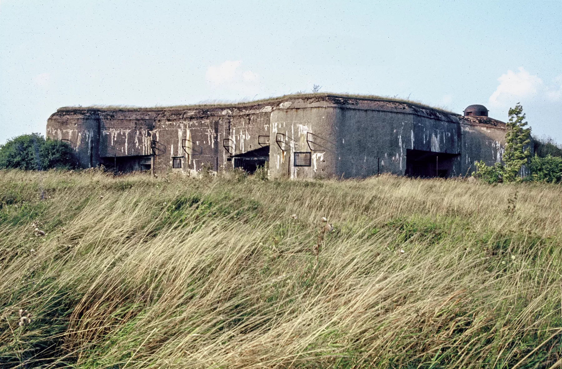 Ligne Maginot - BOIS DU FOUR - A5 - (Ouvrage d'infanterie) -  - MANSUY Michel