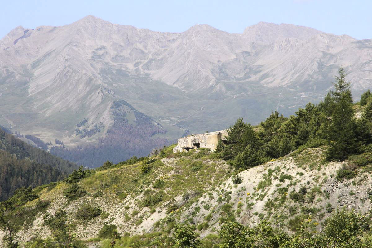 Ligne Maginot - SAINT OURS HAUT (SOH) - (Ouvrage d'artillerie) - Bloc 5.
Vu du chemin de Mallemort. La cloche GFM, en haut du bloc, est cachée par le sapin; - JOLAS, Jean-Michel