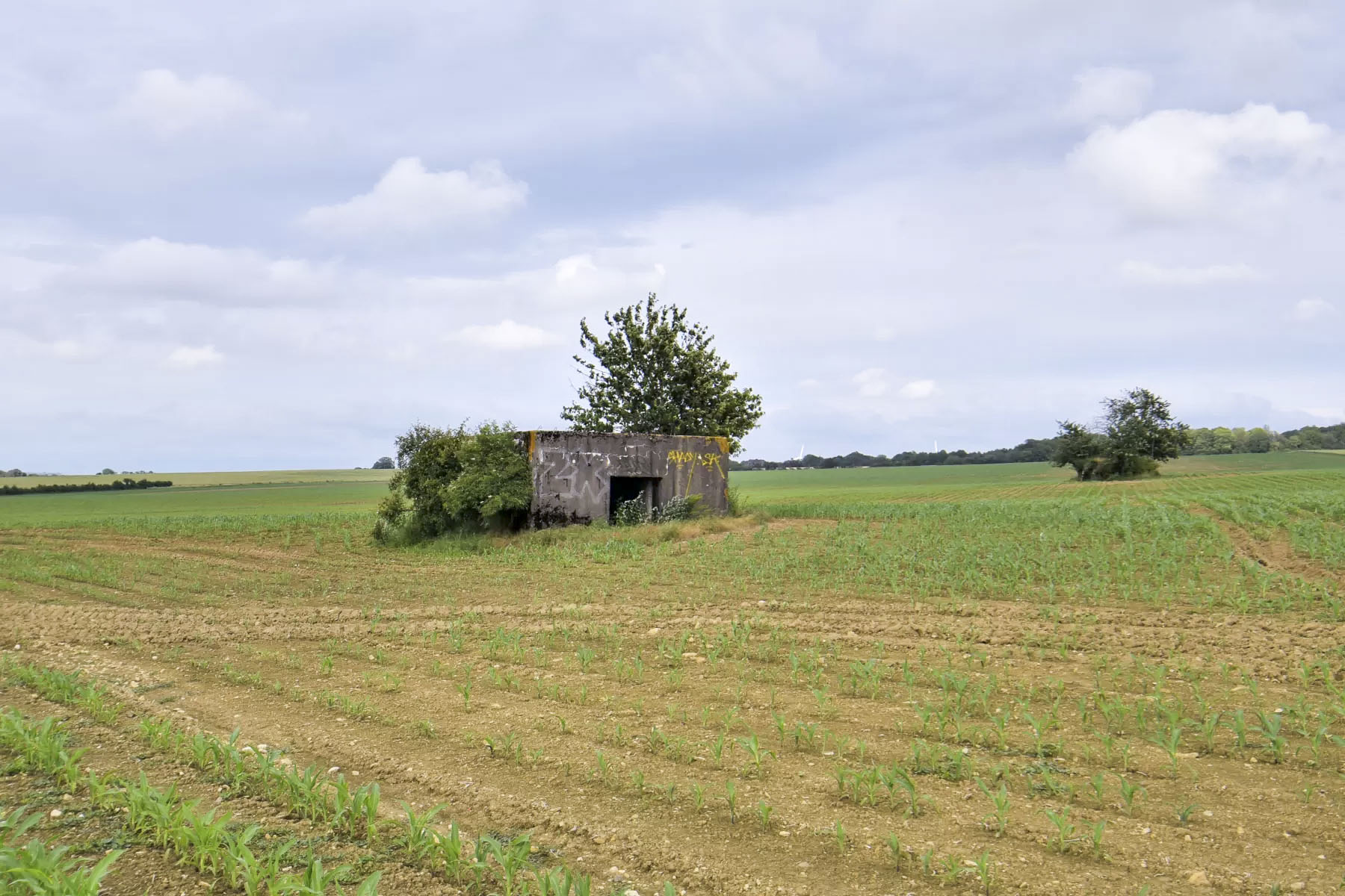 Ligne Maginot - SPIETZHUF OUEST - (Blockhaus pour canon) -  - Ludovic KNAPP