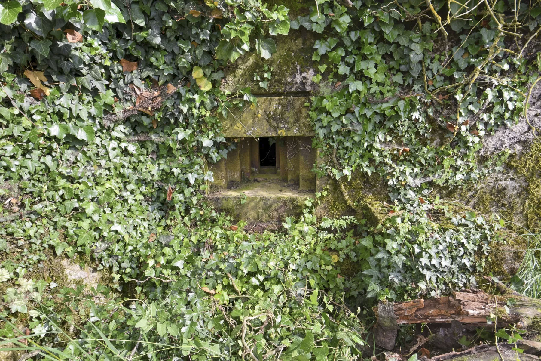 Ligne Maginot - SPIETZHUF EST - (Blockhaus pour arme infanterie) -  - Ludovic KNAPP