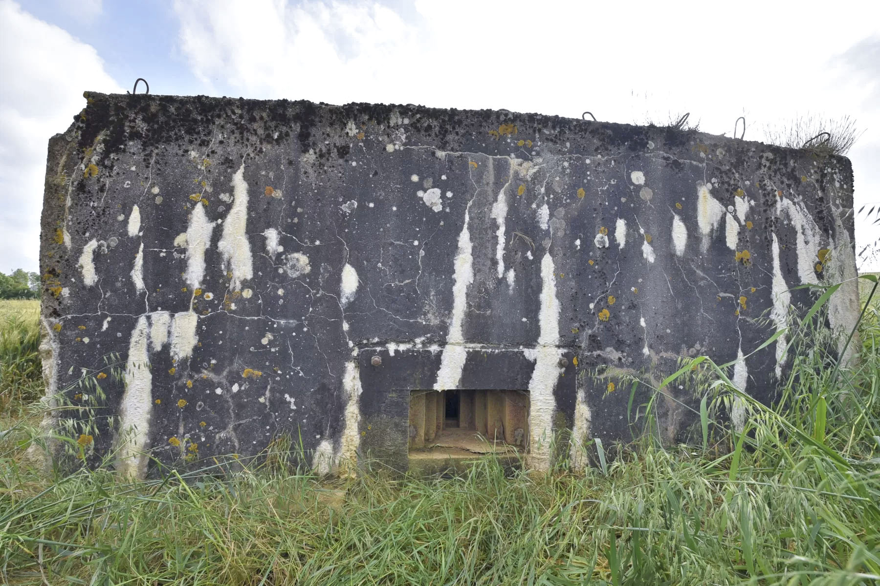 Ligne Maginot - BIENLINK NORD - (Blockhaus pour arme infanterie) -  - Ludovic KNAPP